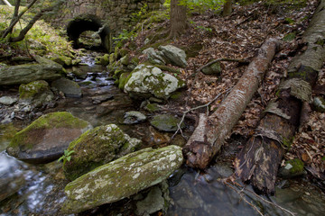 Lulu Brook in Pittsfield, Massachusetts.