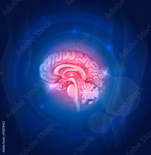 "Human brain on a blue background" Stock image and royalty-free vector
