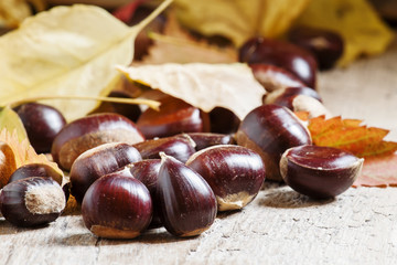 Chestnuts on an old wooden table in the autumn background, selec