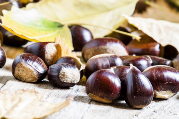 Chestnuts on an old wooden table in the autumn background, selec