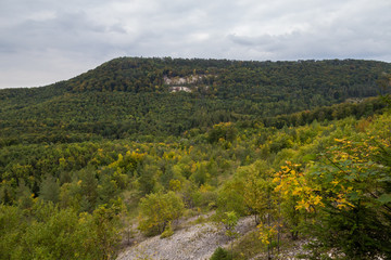 Fototapeta na wymiar Herbstwald am Mössinger Bergrutsch
