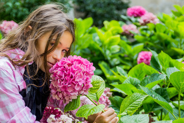 Fototapeta premium Fillette devant les hortensias