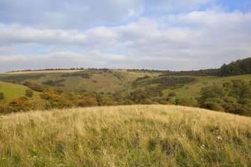 wooded valley in autumn