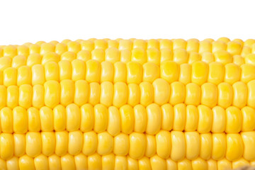 Close-up fresh corn isolated on white background