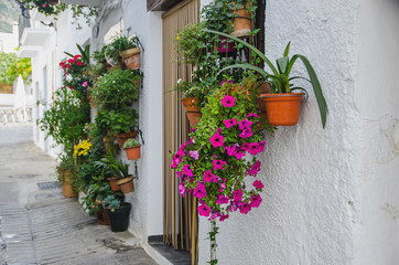 Fototapeta na wymiar House entrance with plantpots Capileira