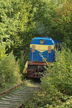 Tunnel of love. Locomotive. Autumn. (Klevan, Rivnenska obl., Ukr