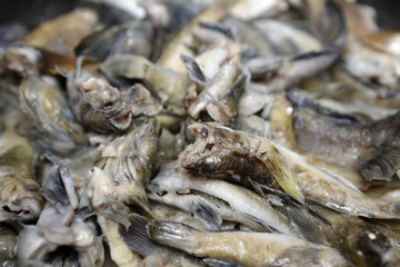 Cooking of goby fish