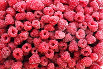 Heap of sweet red raspberries close up