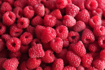 Heap of sweet red raspberries close up