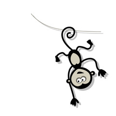 Funny monkey for your design