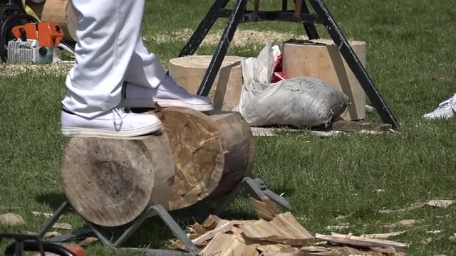 Man woodchopping during free public agriculture fair.In New Zealand woodchopping are handicap events, depending on how fast they are expected to chop through the log. 