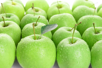 Ripe green apples close up