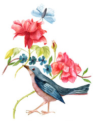 Vintage illustration with watercolor bird, roses and butterfly