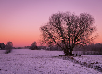 Beautiful winter rural landscape with clear sky