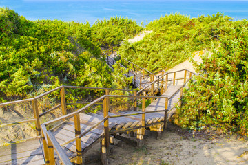 passaggio tra le dune