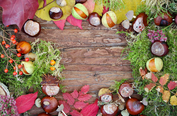 Der Herbst ist da