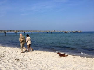 Spaziergang mit Hund am Ostseestrand