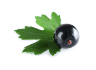 Heap of wild black currant with green leaf isolated on white