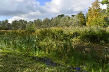 Le ruisseau 