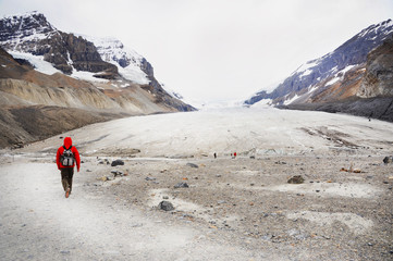 Hiker on the hiking trail leading to Athabasca Glacier, Banff National Park, Canada