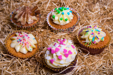 sweet cupcakes with butter cream on hay background