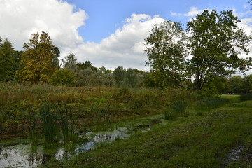 Le Molembeek restitu&eacute;e &agrave; l'&eacute;tat sauvage &agrave; l'ombre au parc Roi Baudoin de Jette &agrave; Bruxelles