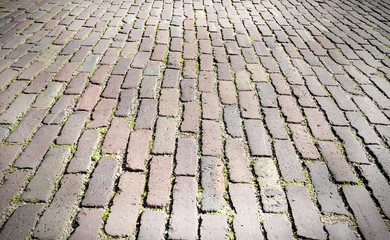 City pavers with grass.