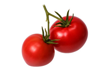 Branch with two red tomatoes. Isolated.