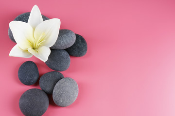 Fototapeta na wymiar Spa stones with flower on pink background