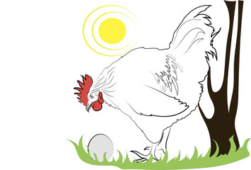 Rooster looking at an egg