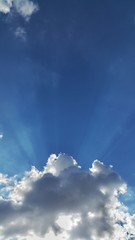 Fototapeta premium Promienie