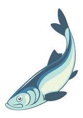  herring fish