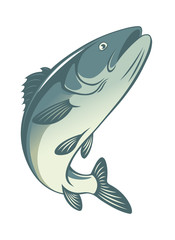 Obraz premium fish bass