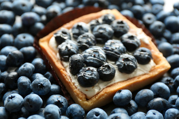 Gourmet fresh blueberry tart, close up