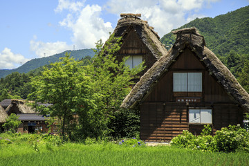 Fototapeta na wymiar Historic village of Shirakawago in Japan is famous for the Gassho style architecture and is a UNESCO World Heritage Site.