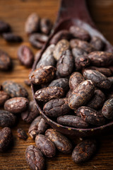 Cocoa raw beans on wooden table