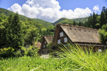 Historic village of Shirakawago in Japan is famous for the Gassho style architecture and is a UNESCO World Heritage Site.