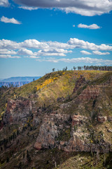 Grand Canyon Landscapes