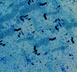 blue texture or background wall of shabby paint and plaster crac