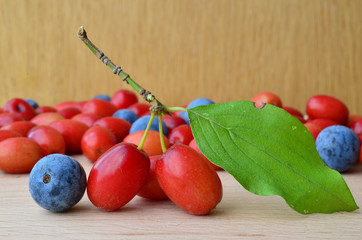 Cornelian and sloes close up