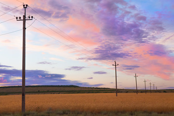 power line in a field at sunset