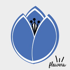 beautiful floral design