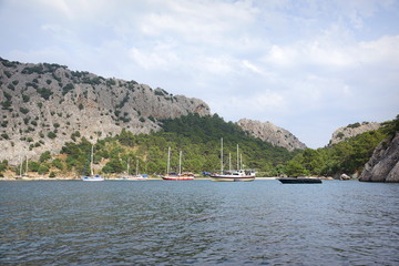 Bay