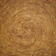 hay texture or detail for background