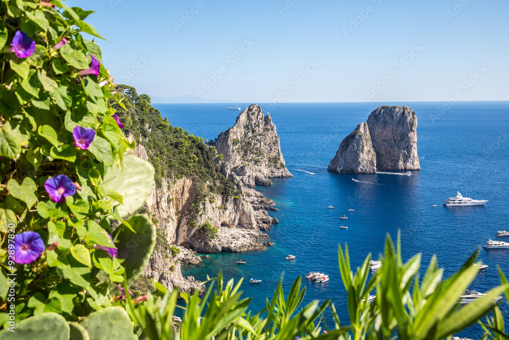 Poster Capri island in  Italy