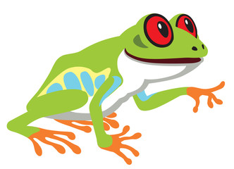 cartoon red eye tree frog . Side view image isolated on white