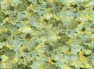 texture of sycamore bark