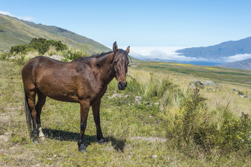 Tafi del Valle lake in Tucuman, Argentina.