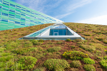 green roof - Powered by Adobe