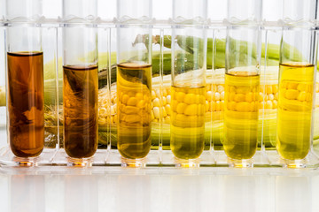 Corn generated ethanol biofuel with test tubes on white background - obrazy, fototapety, plakaty